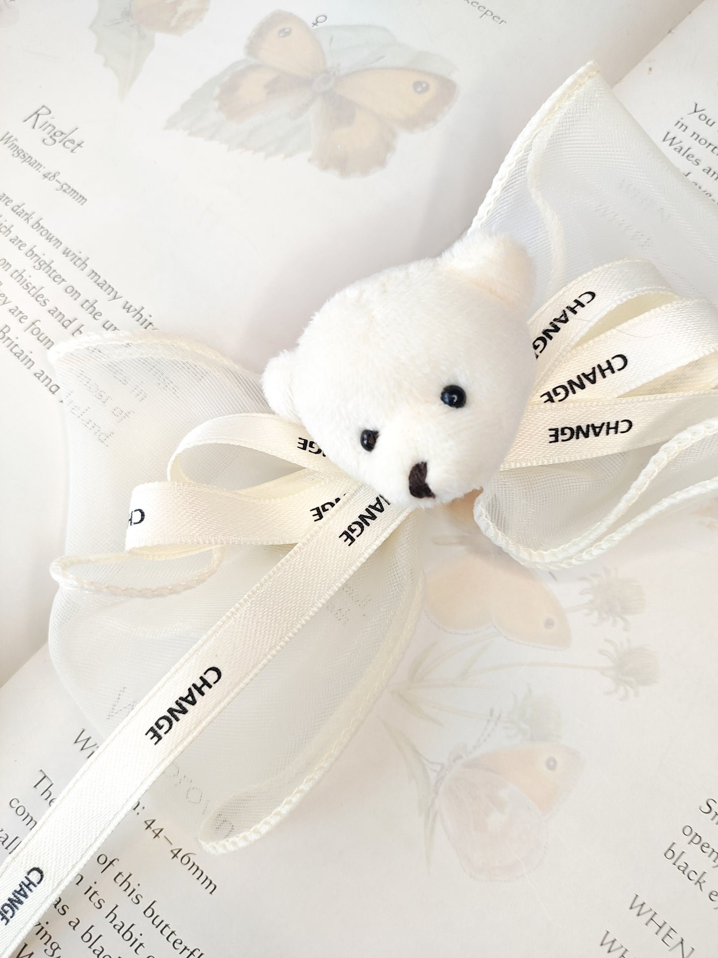 White Teddy // Clip