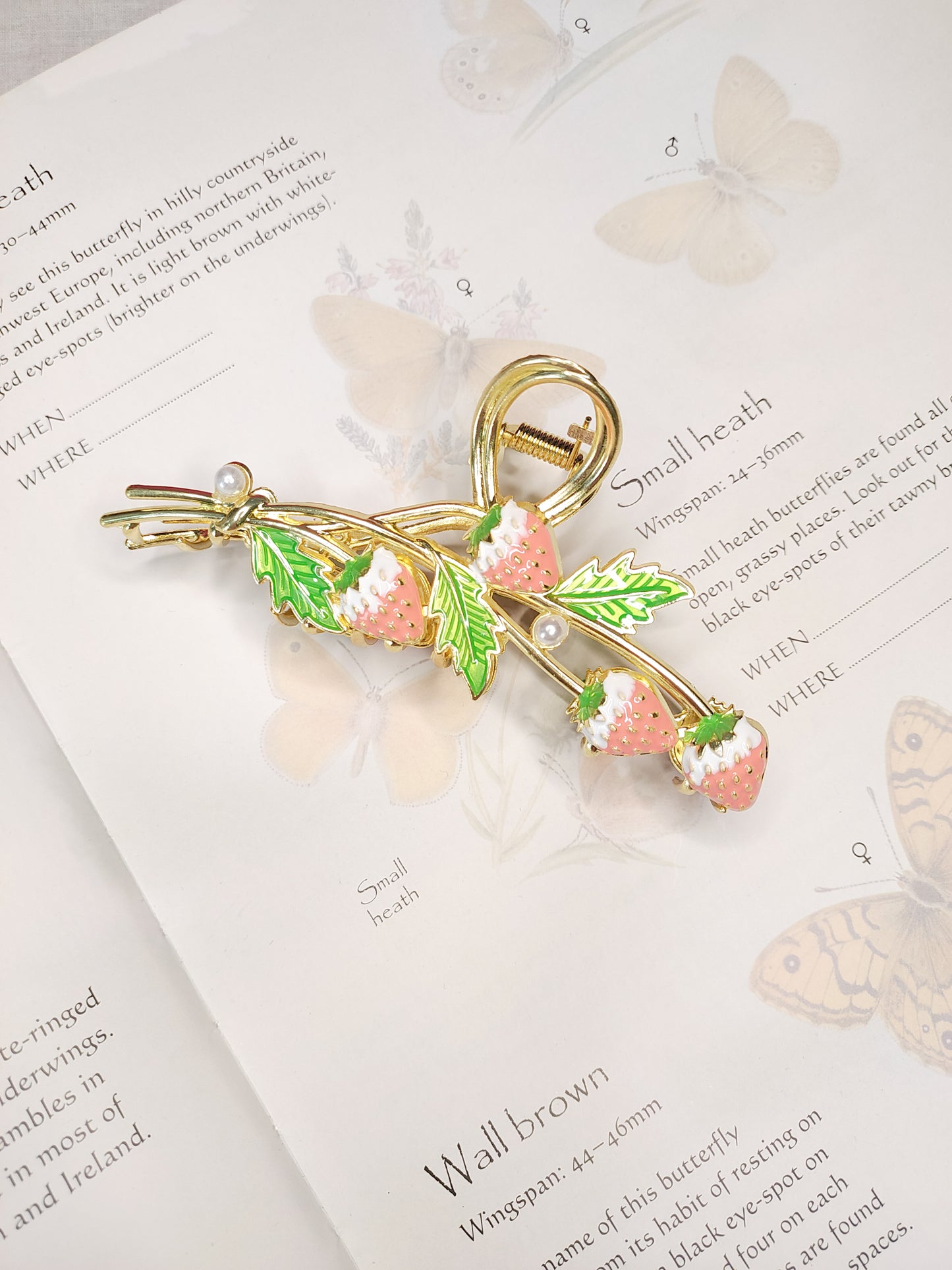 Strawberry Garden // Claw Clip