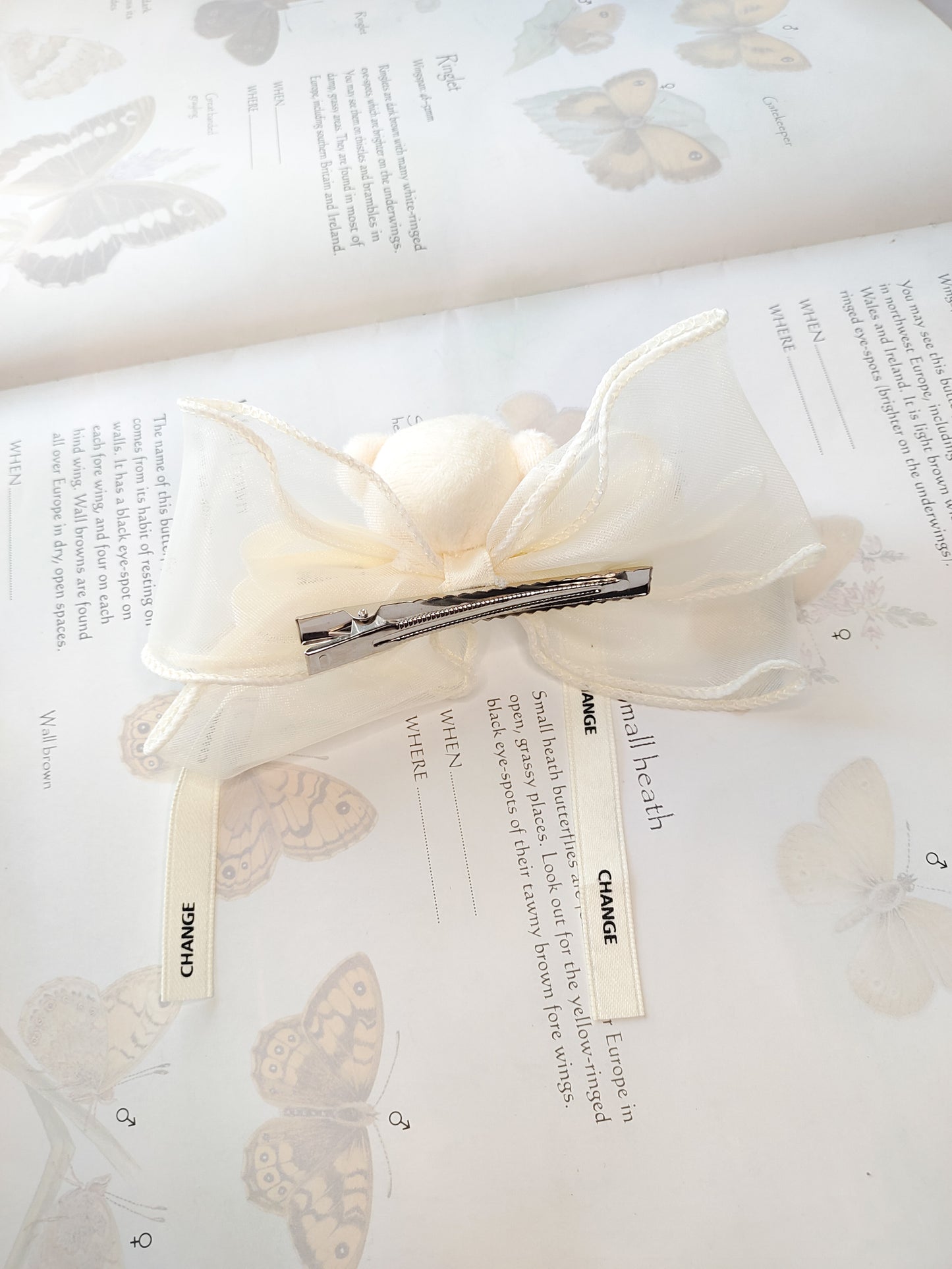 White Teddy // Clip