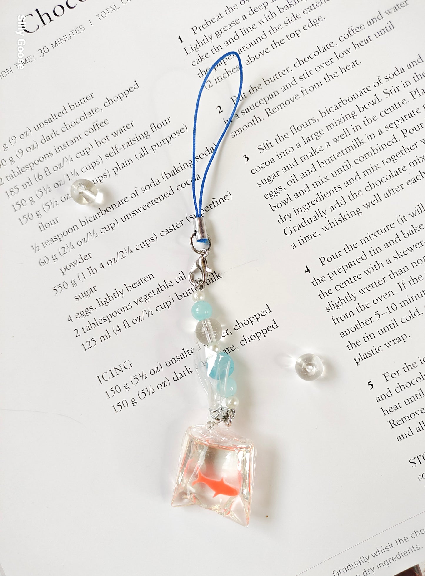 Your Pet Goldfish | Charm