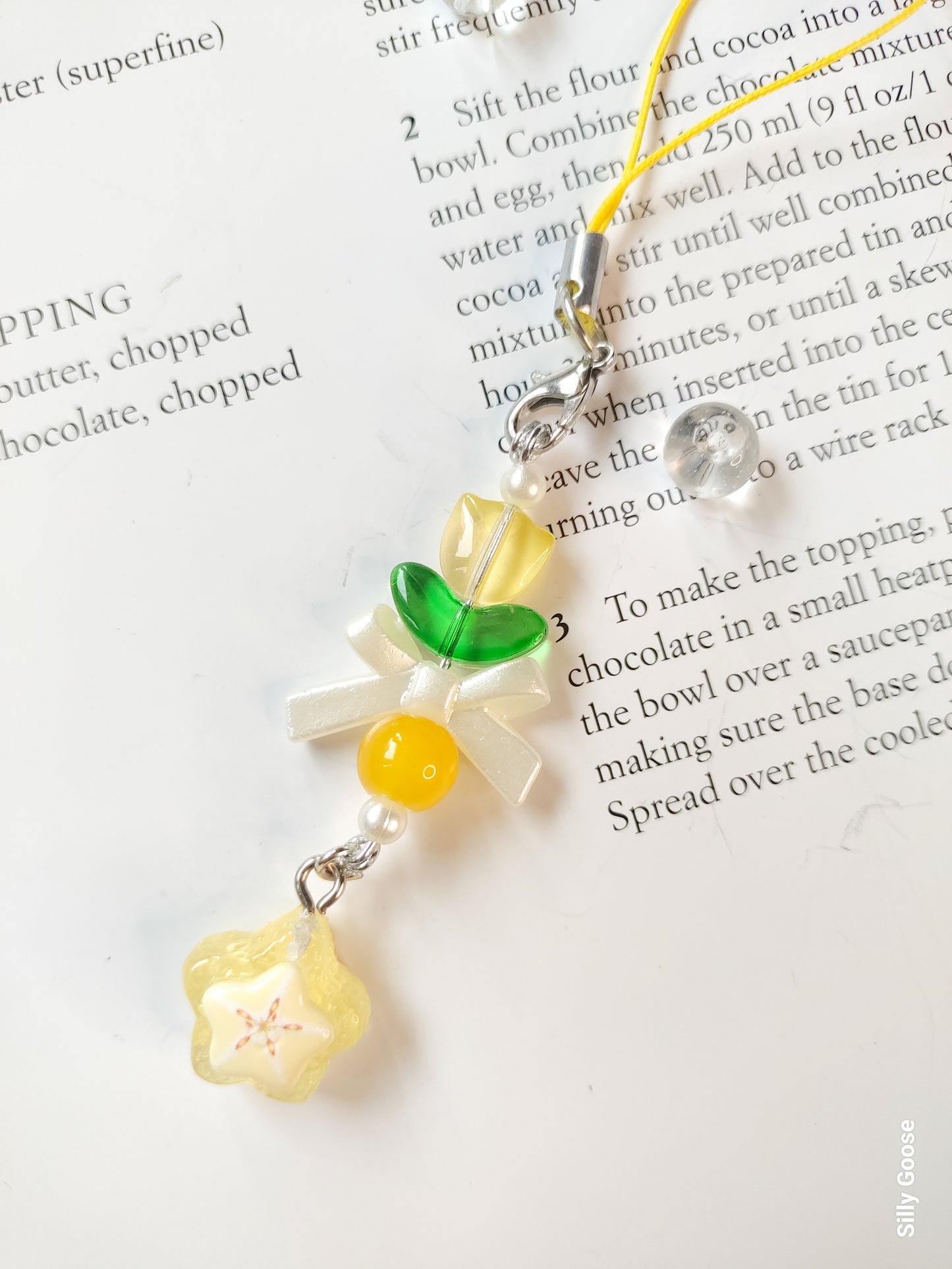 Sunshine Starfruit | Charm
