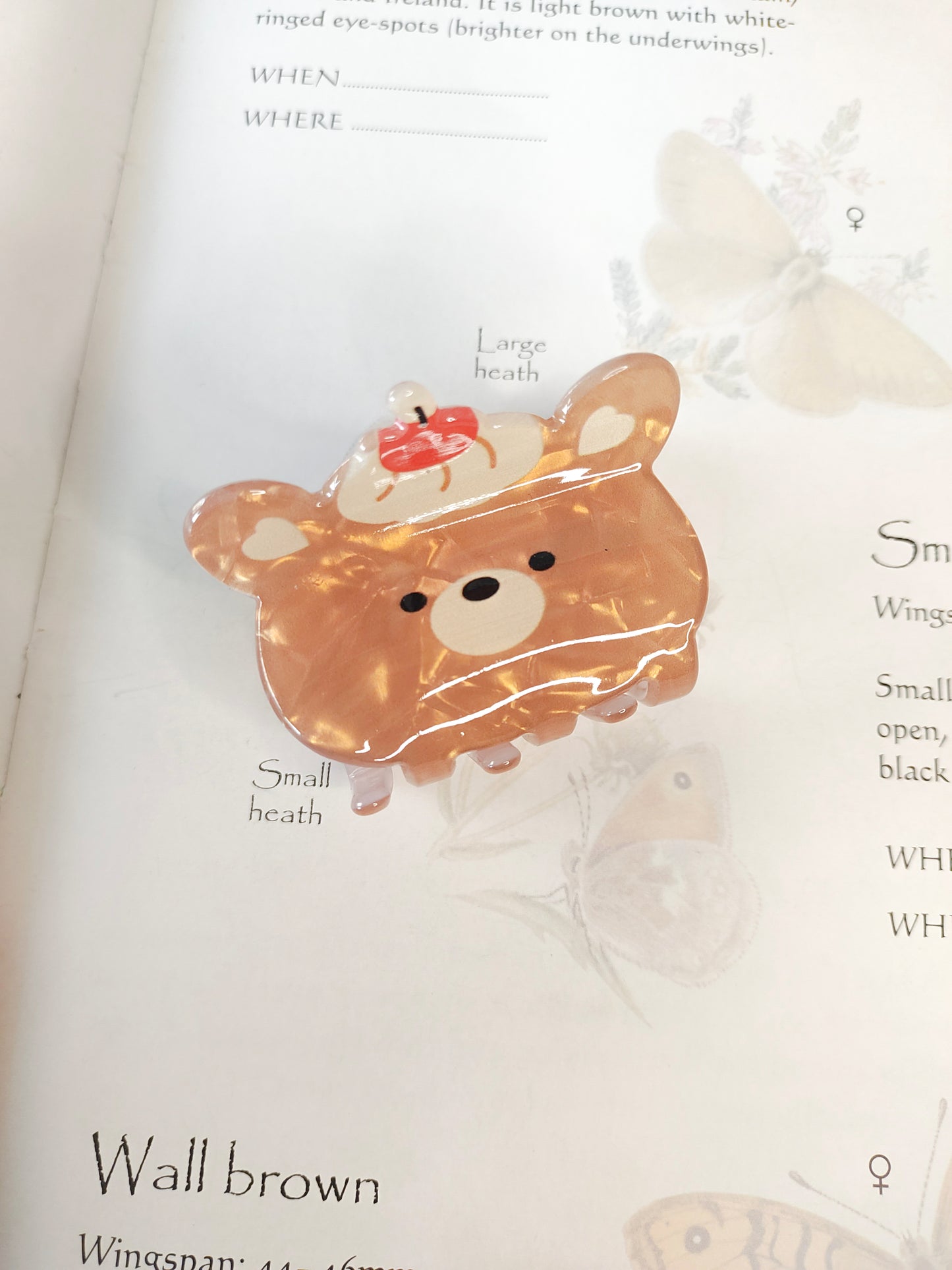Cutu Brown Teddy // Claw Clip