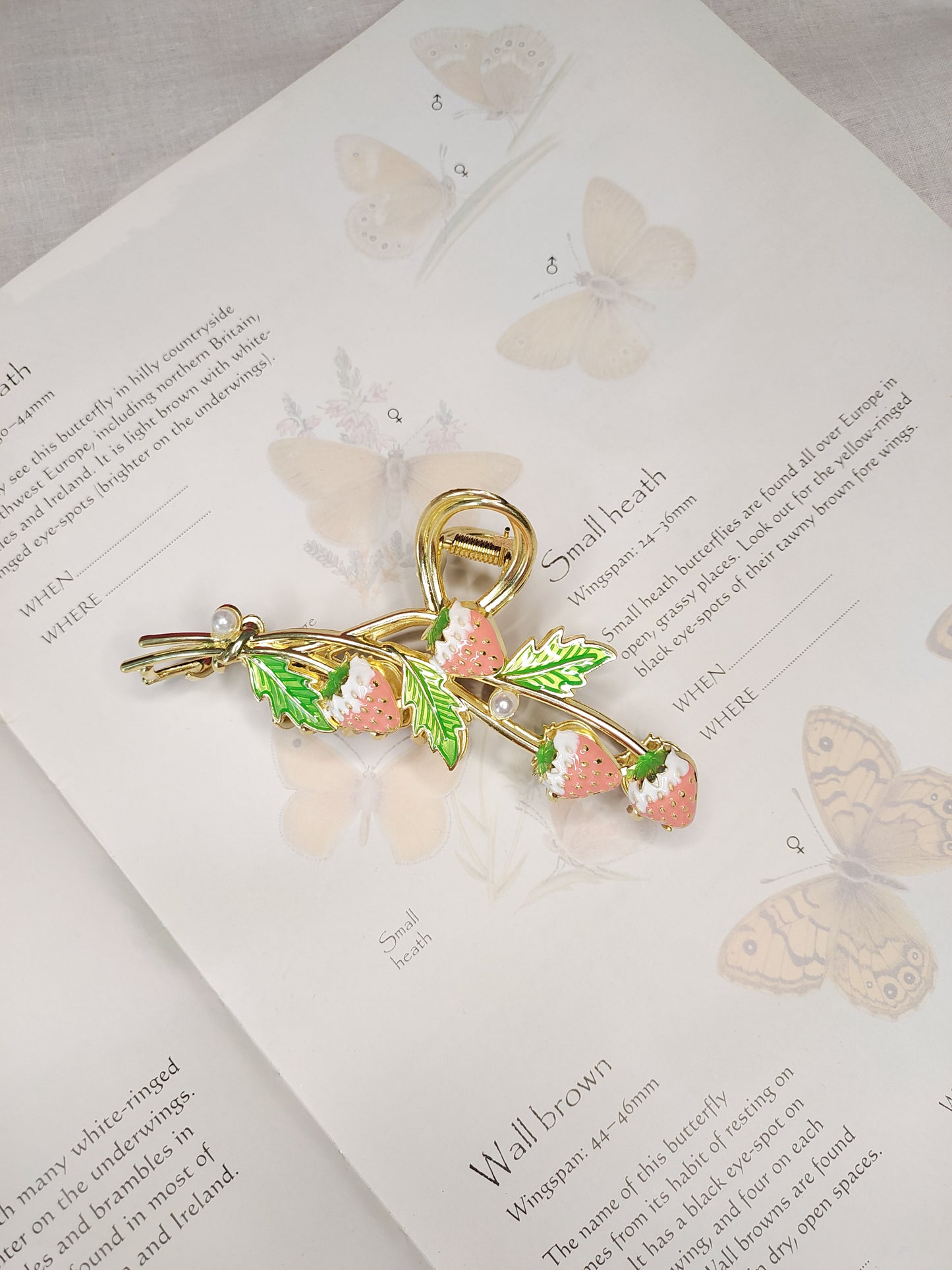 Strawberry Garden // Claw Clip